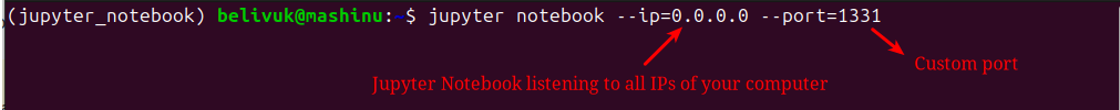 how to expose jupyter notebook on local network