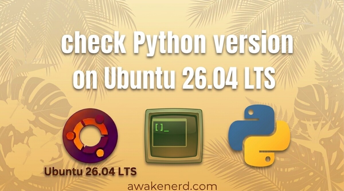 How to check Python version on Ubuntu 26.04 LTS for beginners
